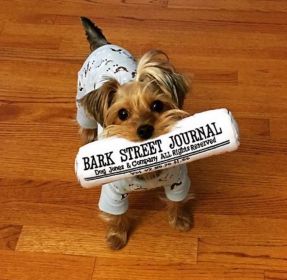 Bark Street Journal