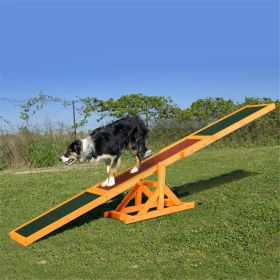 Training and Exercise Dog Agility