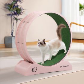 Running Wheel, Small Animal Exercise Treadmill w/ Locking Mechanism, Pink