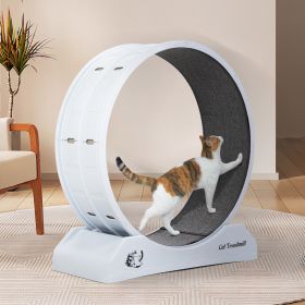 Running Wheel, Small Animal Exercise Treadmill w/ Locking Mechanism, White