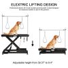 electric pet grooming table, 110V/220V professional groomer recommend super Deluxe electric pet grooming table