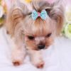 4pcs Pet Hairpins; Dog Hair Bows With Clips; Adorable Hair Clip Pet Accessories; Assorted Varieties