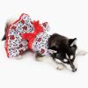 Holiday Holly Poinsettia Dog Dress / Dog Harness