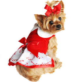 Christmas Candy Cane Dog Dress / Holiday Harness Dress and Matching Leash (Size: X-Small)