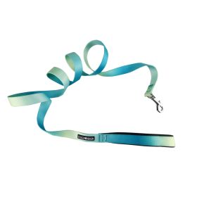 American River Ombre Leash (Size: 5/8 inches wide x 4 feet long, Color: Aruba Blue)