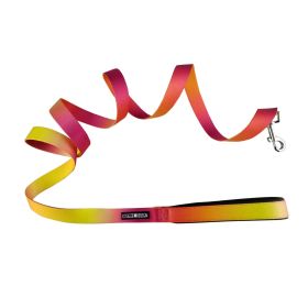 American River Ombre Leash (Size: 5/8 inches wide x 4 feet long, Color: Raspberry Pink and Orange)