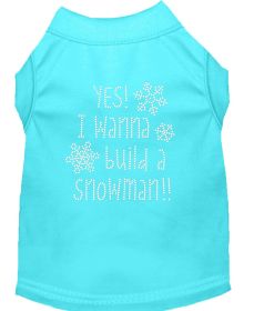 Yes! I want to build a Snowman Rhinestone Dog Shirt (Option: Aqua XS)