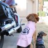 Biker Dawg Jacket