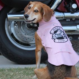 Biker Dawg Jacket (Size: X-Small, Color: Pink)