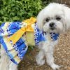 Catching Waves Dog Dress / Dog Harness with Matching Leash