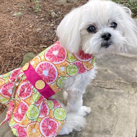 Fresh Citrus Slice Dog Dress / Dog Harness with Matching Leash (Size: X-Small)