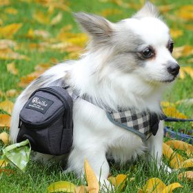 Pet Dog treat pouch Portable Multifunction Dog training bag Outdoor Travel Dog Poop Bag Dispenser Durable Pet accessories (Option: colorgray)