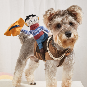 Cowboy Rider Pet Costume, Funny Dog Costume For Small Medium Dogs & Cats, Pet Clothes (Color: Mixed Color, Color / Size: S)