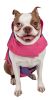 Touchdog Lightning-Shield Waterproof 2-in-1 Convertible Dog Jacket w/ Blackshark technology