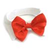 Red Satin Bow Tie with White Collar