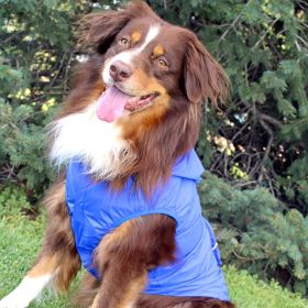 Packable / Foldable Travel Raincoat for Dogs (Size: X-Small, Color: Blue)