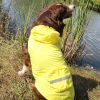 Packable / Foldable Travel Raincoat for Dogs