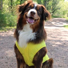 Packable / Foldable Travel Raincoat for Dogs (Size: X-Small, Color: Yellow)