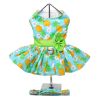 Pineapple Luau Dog Dress / Dog Harness with Matching Leash