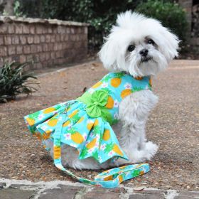 Pineapple Luau Dog Dress / Dog Harness with Matching Leash (Size: X-Small)