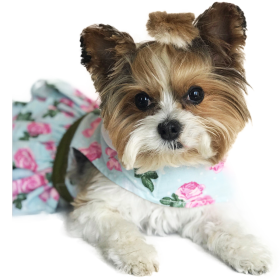 Pink Rose Dog Dress / Dog Harness with Matching Leash (Size: X-Small)