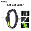 LED Pet Dog Collar