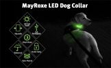 LED Pet Dog Collar