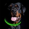 LED Pet Dog Collar