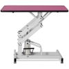 42.5 Inch Hydraulic Pet Grooming Table