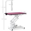 42.5 Inch Hydraulic Pet Grooming Table