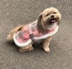 Sherpa-Lined Dog Coat / Dog Harness