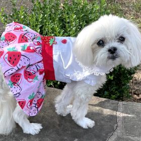 Strawberry Picnic Dog Dress / Dog Harness with Matching Leash (Size: X-Small)