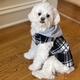 Weekender Dog Sweatshirt Hoodie (Size: X-Small, Color: Black & White Plaid Flannel)