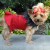 Red Wool Classic Dog Coat Harness with Fur Collar and Matching Leash