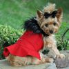 Red Wool Classic Dog Coat Harness with Fur Collar and Matching Leash