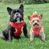 Wrap and Snap Cute Dog Harness